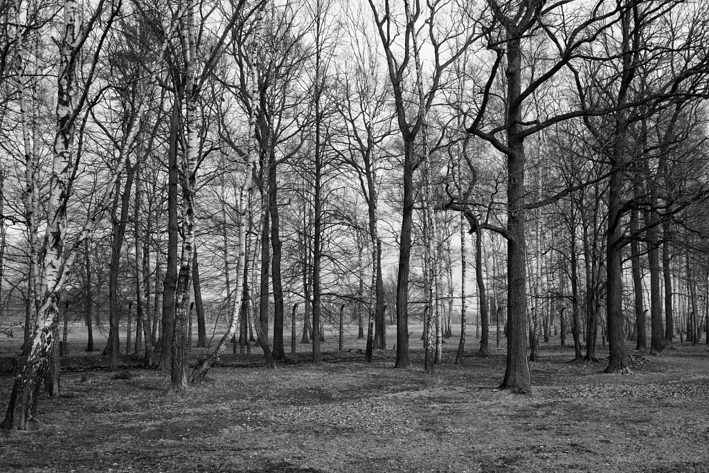 Konzentrationslager Auschwitz